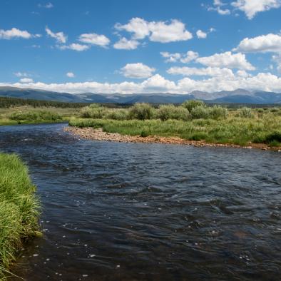 Summer Scenic and River.jpg