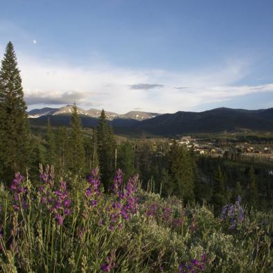 Winter Park Summer.jpg Winter Park Summer.jpg