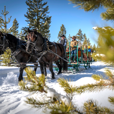 Sleigh Ride - DTR