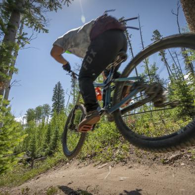 Mountain Biking