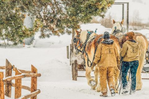 sleigh ride in winter