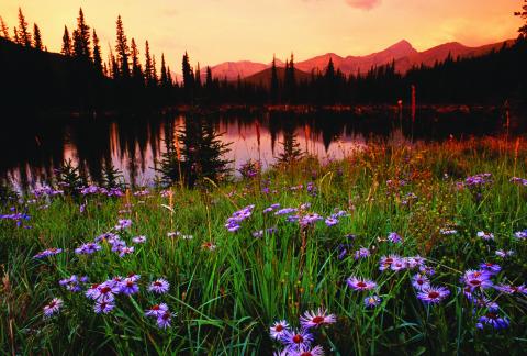 Mountain Lake & Meadow.jpg