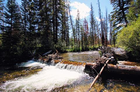 Winter Park Colorado Waterfall