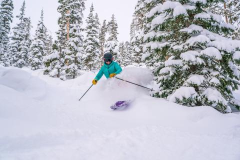Skier in Powder