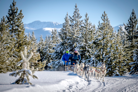 Redemption Dog Sled Tours - YMCA