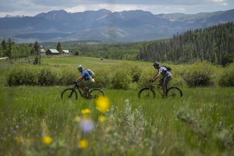 Mountain Biking through a picturesque meadow