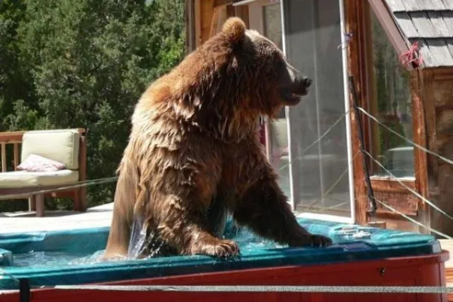 Nothing makes my day like a good soak! Photo