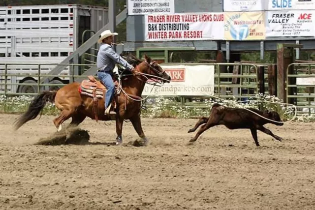 High Country Stampede Rodeo Photo 2