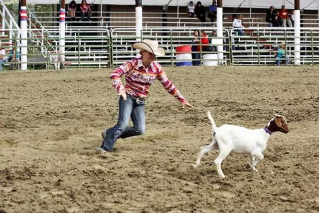 High Country Stampede Rodeo Photo 3