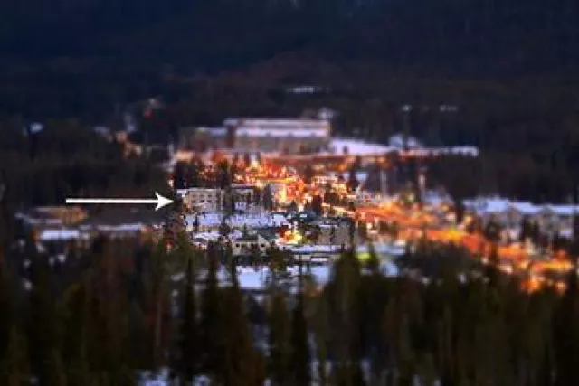 Right in the middle of all the action! Photo 2