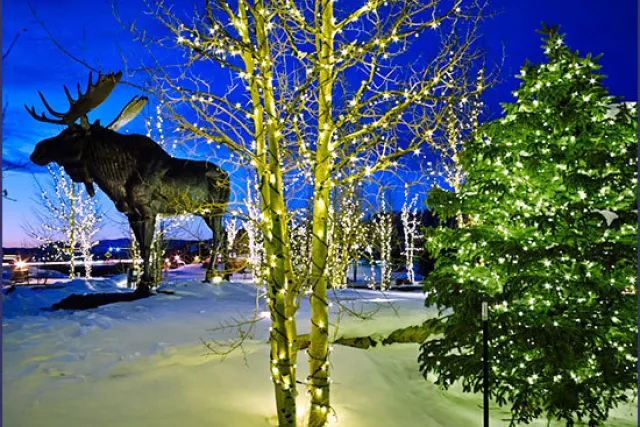 Alpine Landscape Service Photo 15