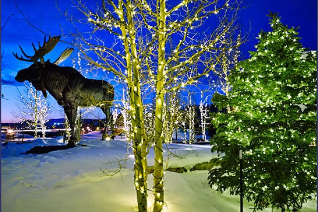 Alpine Landscape Service Photo 15