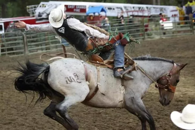 High Country Stampede Rodeo Photo