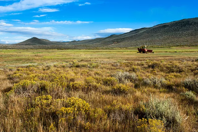 Ouray Ranch Conservation Easement. Photo by Susan Herpel. Photo 5