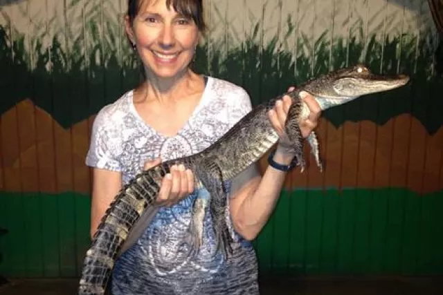 Alligator Soup anyone? Photo 11