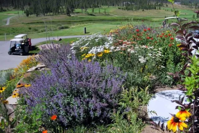 Pole Creek Golf Club Photo 6