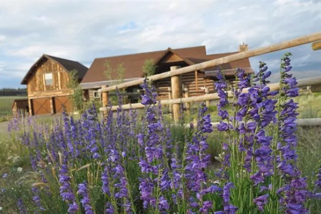 Kristen L Meyer, Broker Associate of REMAX Peak to Peak Photo 7