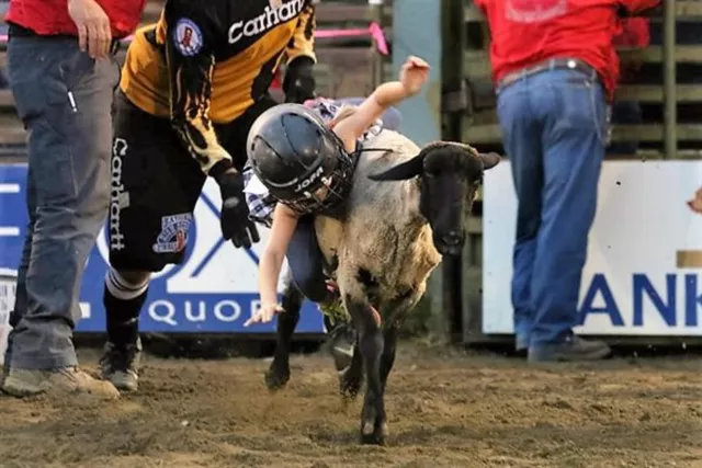 High Country Stampede Rodeo Photo 8