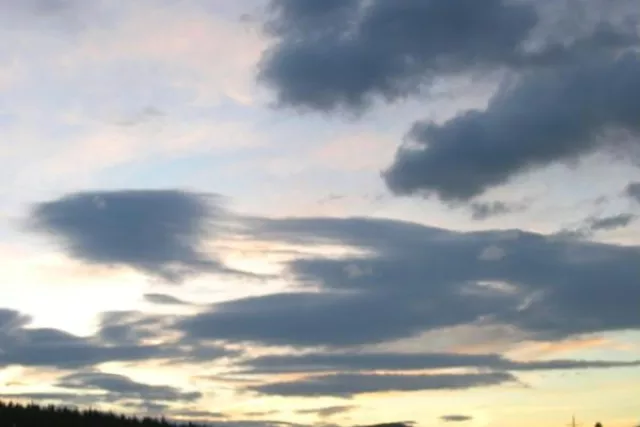 Monica D. Anderson, Broker, Keller Williams Top of the Rockies Photo 10