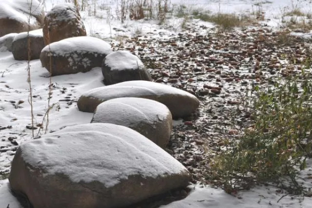 Monica D. Anderson, Broker, Keller Williams Top of the Rockies Photo 5