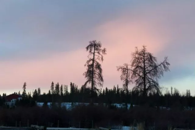 Monica D. Anderson, Broker, Keller Williams Top of the Rockies Photo 9