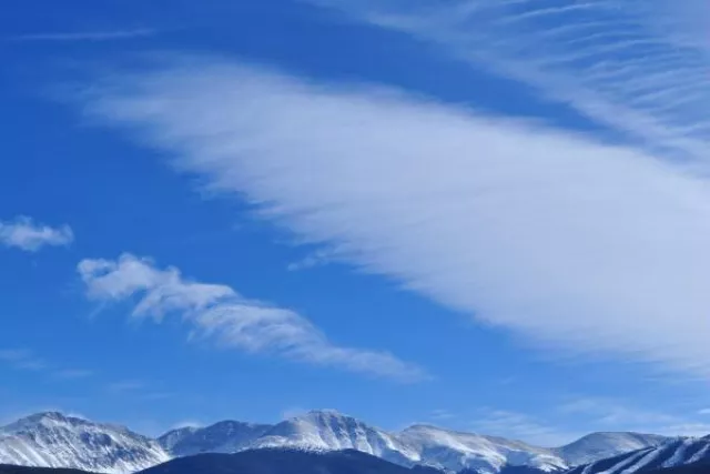 Monica D. Anderson, Broker, Keller Williams Top of the Rockies Photo 8