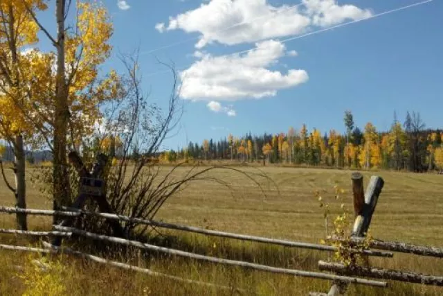 Monica D. Anderson, Broker, Keller Williams Top of the Rockies Photo 7