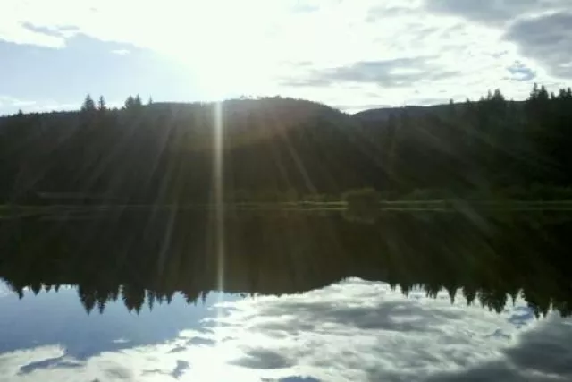 Monica D. Anderson, Broker, Keller Williams Top of the Rockies Photo 15