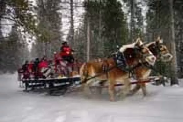 During the winter, warm up with a hot chocolate sleigh ride Photo 9
