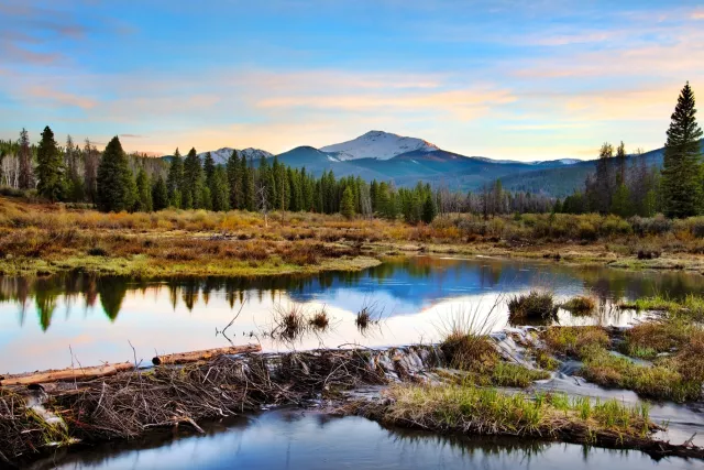 View of early fall in Fraser Colorado Photo