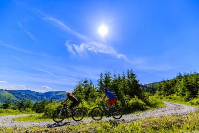 Summer mountain biking in Grand County Photo 19