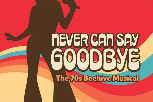 Never Can Say Goodbye: The 70s Beehive Musical Photo