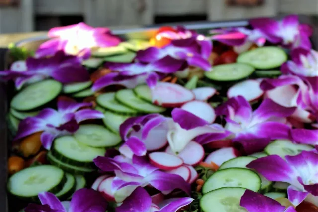 Wild Horse Catering Company Photo 5