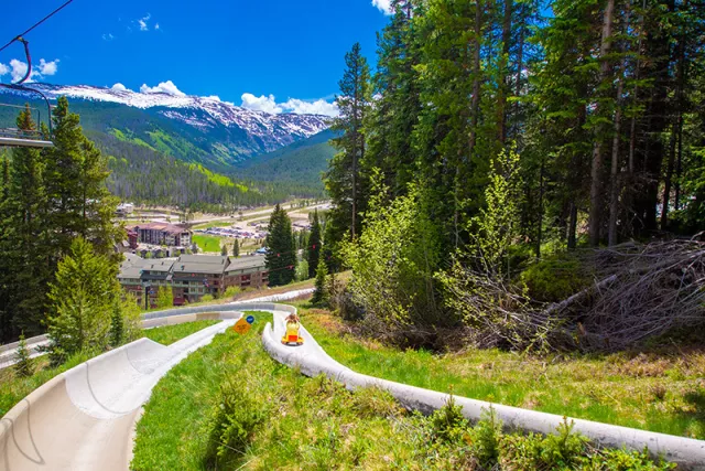 Colorado's Longest Alpine Slide Photo 3