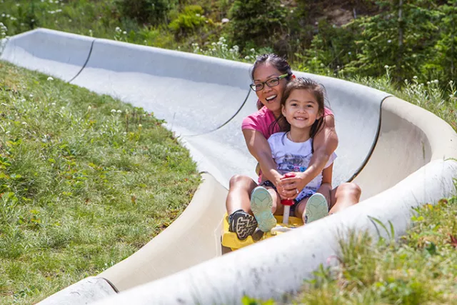 Colorado's Longest Alpine Slide Photo 2