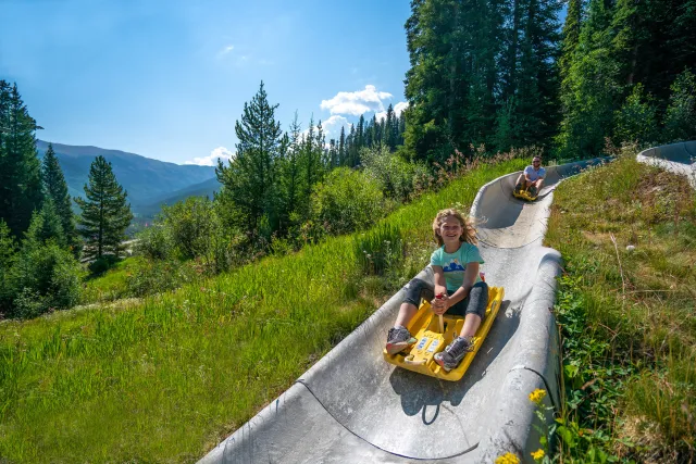 Colorado's Longest Alpine Slide Photo 4
