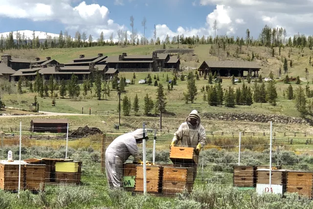 DTR Beekeeping  Photo 20