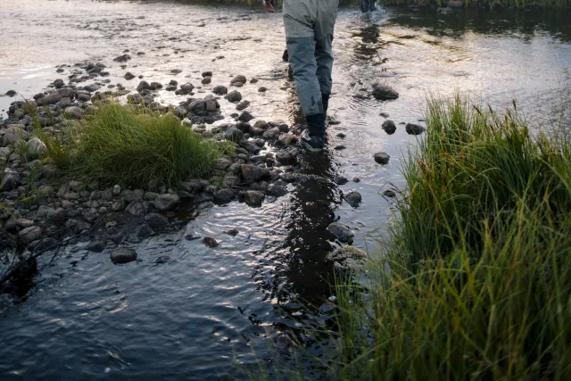 Colorado Mountain Fly Fishing Photo 4