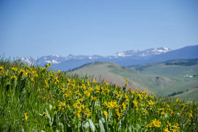 DSC_2533.JPG Photo 4