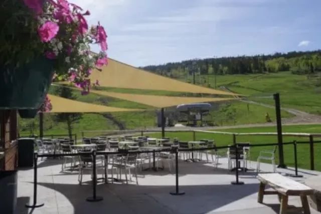 Sunday Music on the Patio Photo