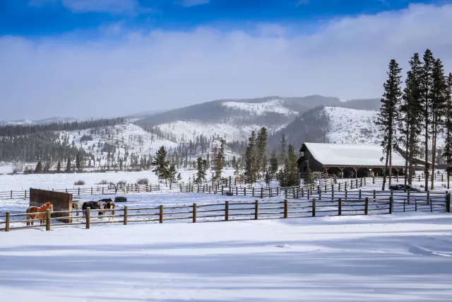 Winter Horseback Riding Colorado Photo 7