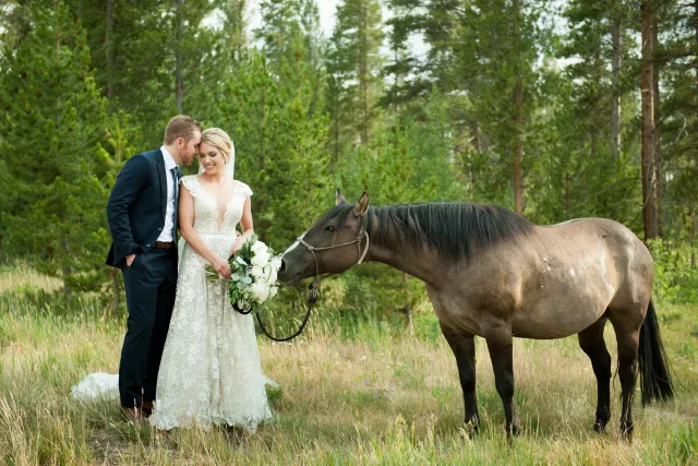 Summer Wedding with Horse  Photo 6