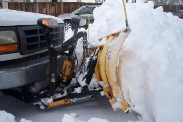 Golden Eagle Snow Removal stock photo Photo