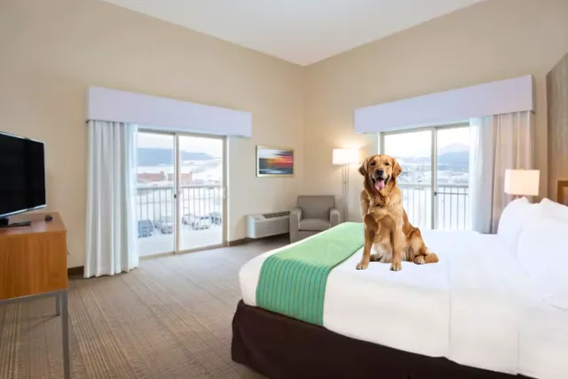 Holiday Inn Express & Suites-Winter Park/Fraser Photo 5