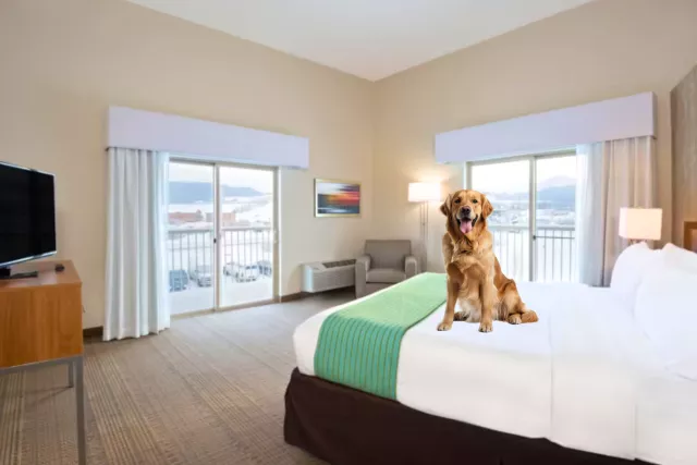 Holiday Inn Express & Suites-Winter Park/Fraser Photo 5