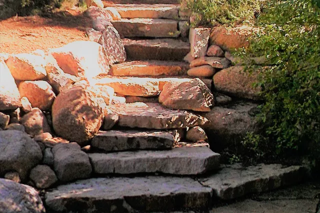 Alpine Landscape Service Photo 11