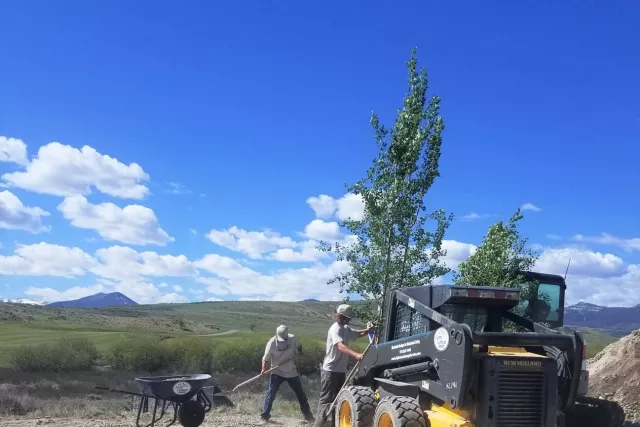 Alpine Landscape Service Photo 16