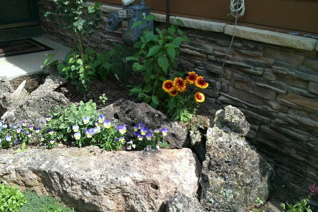 Alpine Landscape Service Photo 6