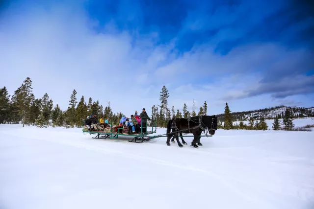 Devil's Thumb Ranch Resort & Spa Sleigh Rides Photo 16