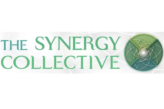 The Synergy Collective Photo